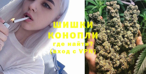 индика Белокуриха